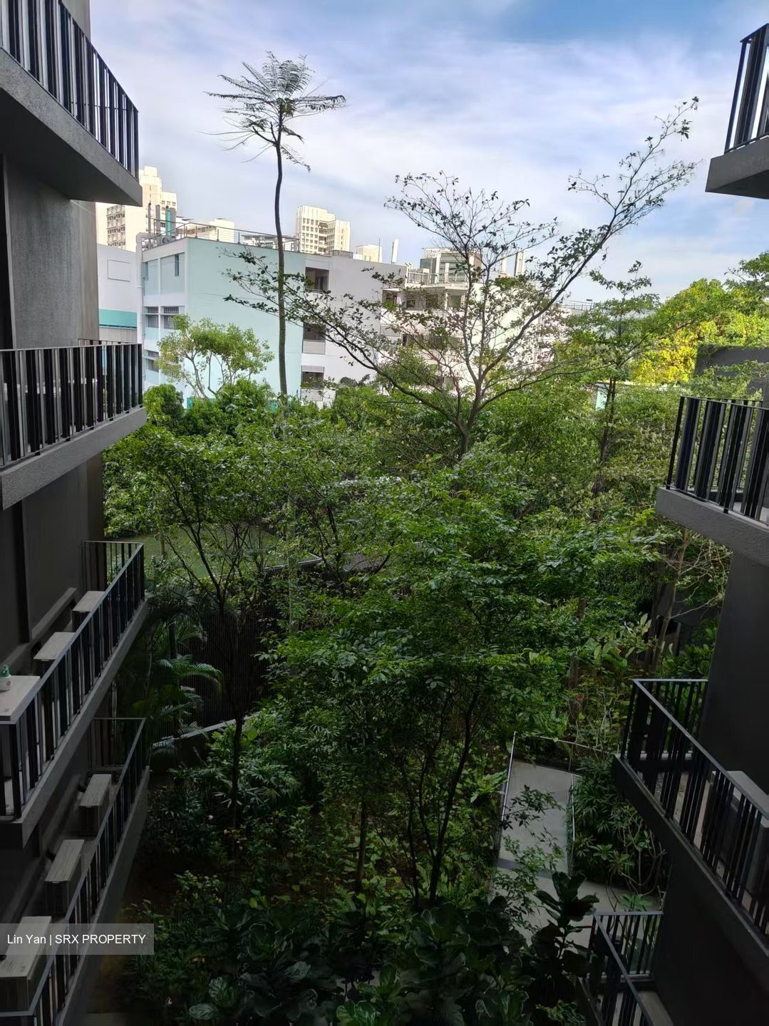 The Clement Canopy (D5), Apartment #547114031